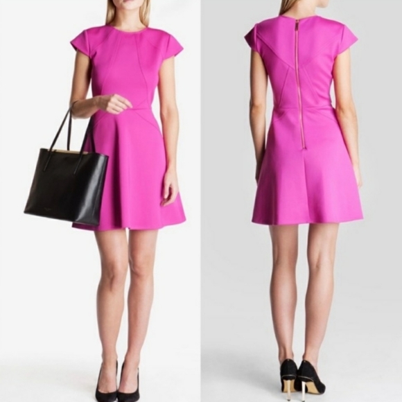 Ted Baker London Dresses & Skirts - Ted Baker London Pink Skater Dress